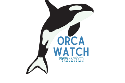 Orca Watch Coming Soon