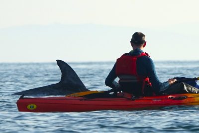 The Lone Kayaker