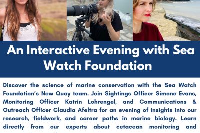 Discover the Science of Marine Conservation with Sea Watch Foundation